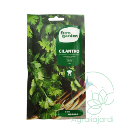 Semilla de cilantro Eurogarden