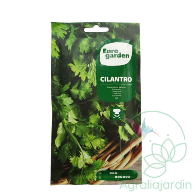 Semilla de cilantro Eurogarden