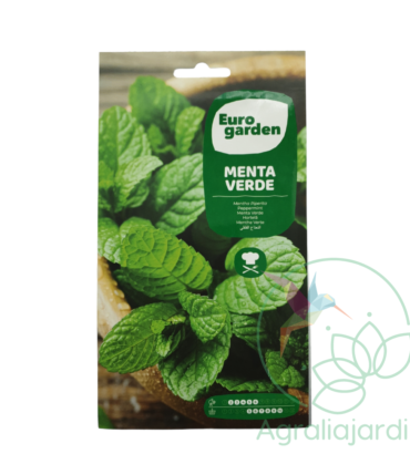 Semilla de menta verde Eurogarden