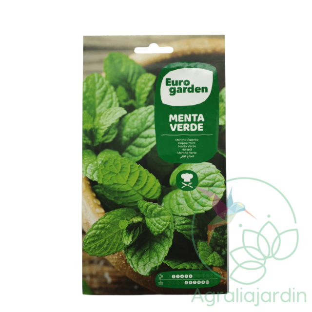 Semilla de menta verde Eurogarden