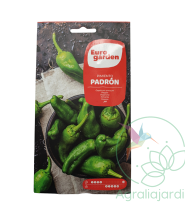 Semilla de pimiento del Padrón Eurogarden