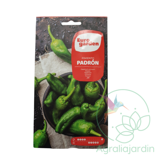 Semilla de pimiento del Padrón Eurogarden