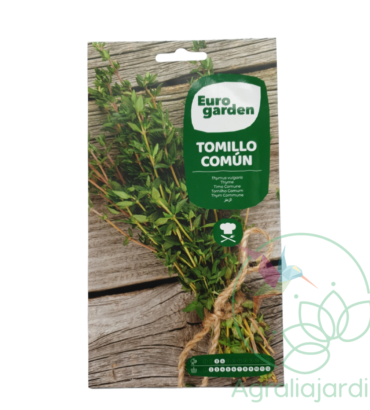 Semilla de tomillo común Eurogarden