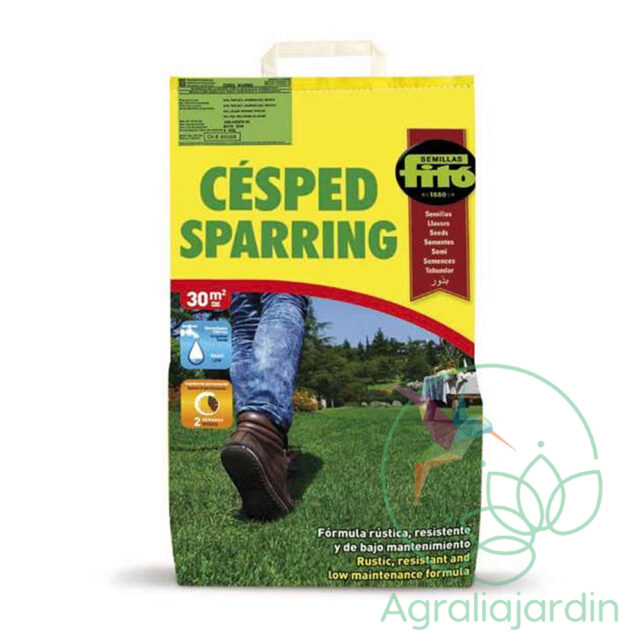 semilla cesped barata y buena